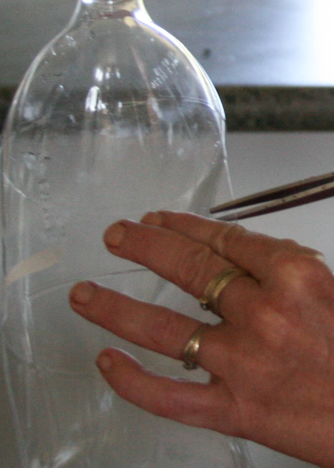 Homemade Fly Trap made from a Regular Plastic Bottle