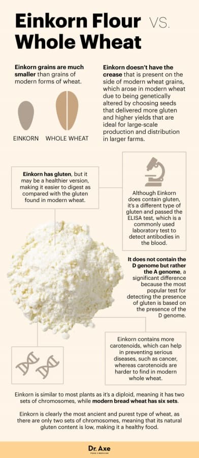 Einkorn Flour - Dr Axe
