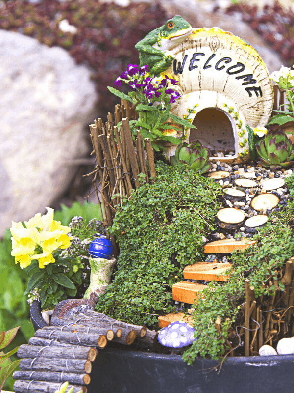 mini fairy gardens 