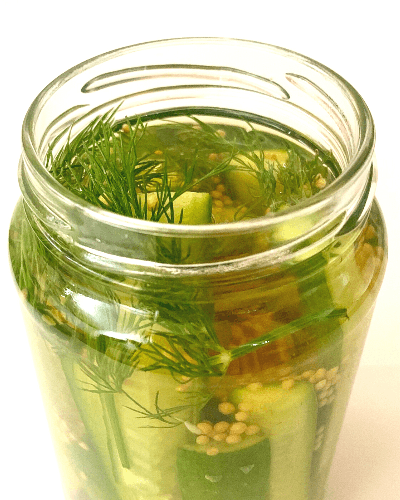 quick homemade pickles recipe