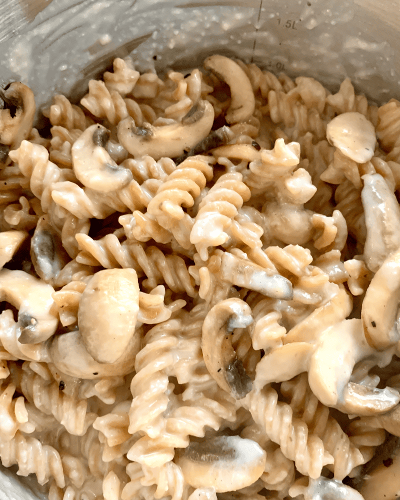 pasta bake with mushrooms 