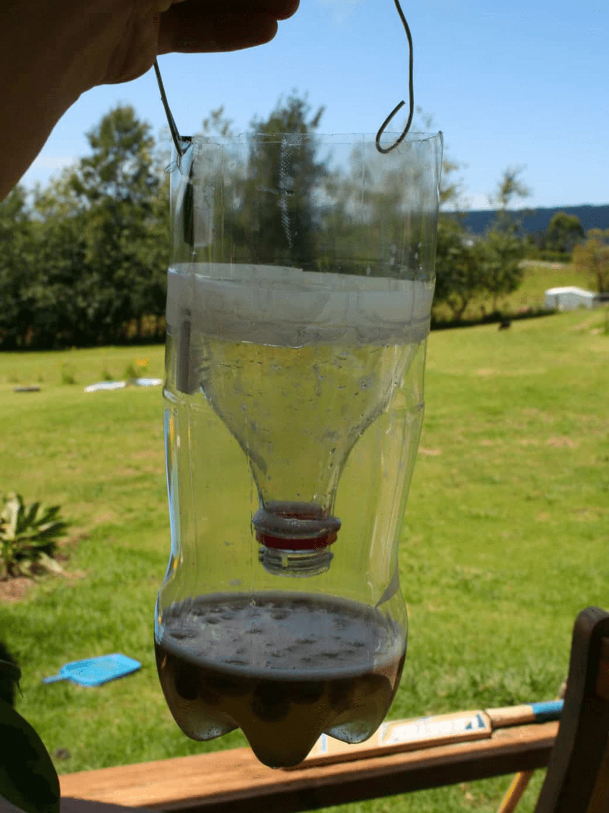 How to Make a Homemade Fly Trap with a Regular Plastic Bottle