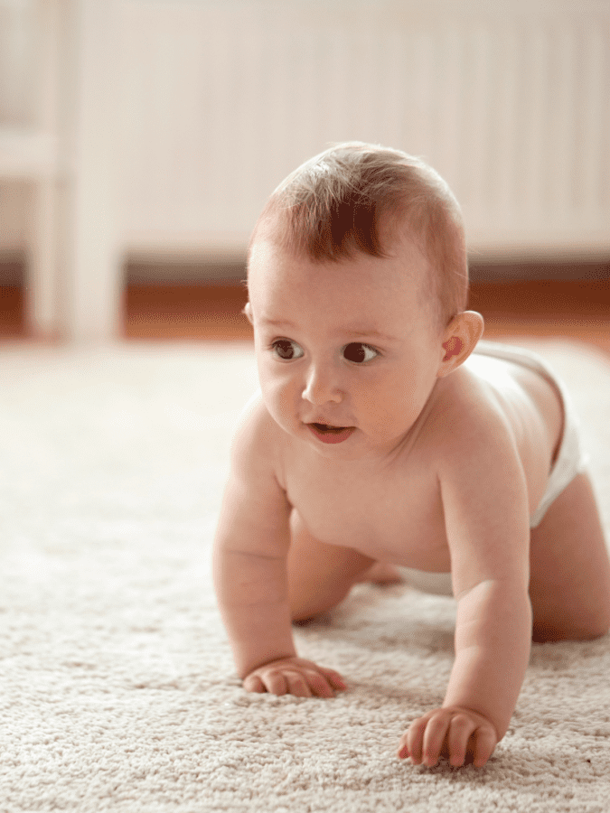 easy-two-ingredient-carpet-deodorizer-diy